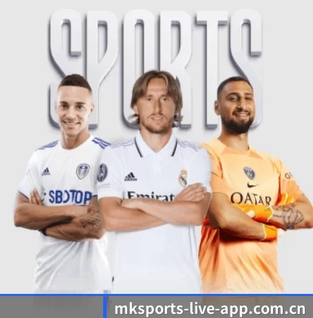 mk体育 APP